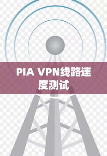 PIA VPN线路速度测试 PIA VPN线路速度测试