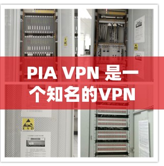 PIA VPN 是一个知名的VPN服务提供商，提供了一个安全、可靠的网络连接体验。如果你正在寻找一个可靠且专业的VPN应用，PIA VPN 是一个值得尝试的选项