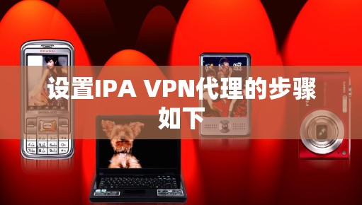 设置IPA VPN代理的步骤如下 设置IPA VPN代理的步骤如下