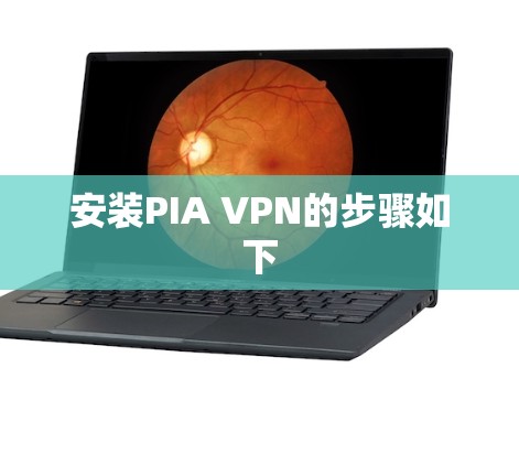 安装PIA VPN的步骤如下 安装PIA VPN的步骤如下