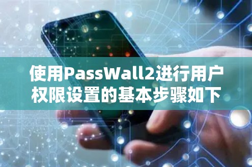 使用PassWall2进行用户权限设置的基本步骤如下