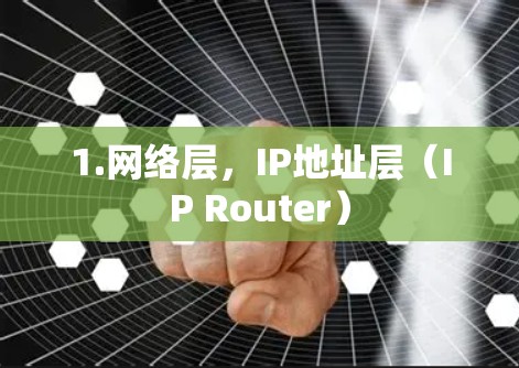 1.网络层，IP地址层（IP Router）