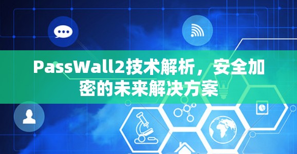PassWall2技术解析,安全加密的未来解决方案 PassWall2技术解析,安全加密的未来解决方案