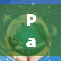 Panda VPN 是一款基于 Tor 的VPN工具,提供多种VPN服务,包括免费和付费版本。以下是一些关于 Pandan VPN Android 版本的使用方法和注意事项 Panda VPN 是一款基于 Tor 的VPN工具,提供多种VPN服务,包括免费和付费版本。以下是一些关于 Pandan VPN Android 版本的使用方法和注意事项