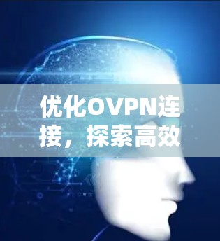 优化OVPN连接,探索高效安全连接的新途径 优化OVPN连接,探索高效安全连接的新途径
