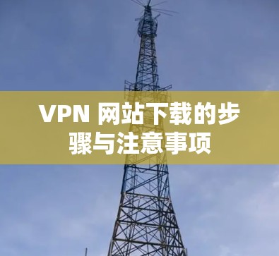 VPN 网站下载的步骤与注意事项