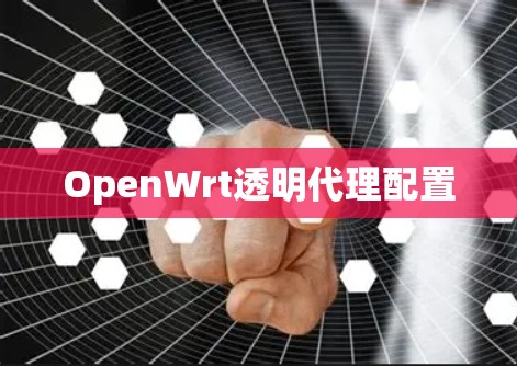 OpenWrt透明代理配置 OpenWrt透明代理配置