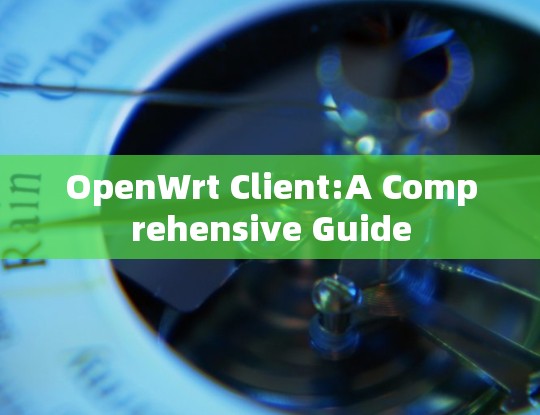 OpenWrt Client:A Comprehensive Guide OpenWrt Client:A Comprehensive Guide