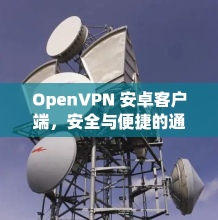 OpenVPN 安卓客户端,安全与便捷的通信解决方案 OpenVPN 安卓客户端,安全与便捷的通信解决方案