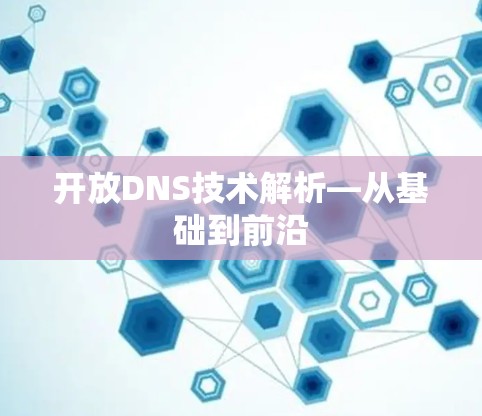 开放DNS技术解析—从基础到前沿 开放DNS技术解析—从基础到前沿