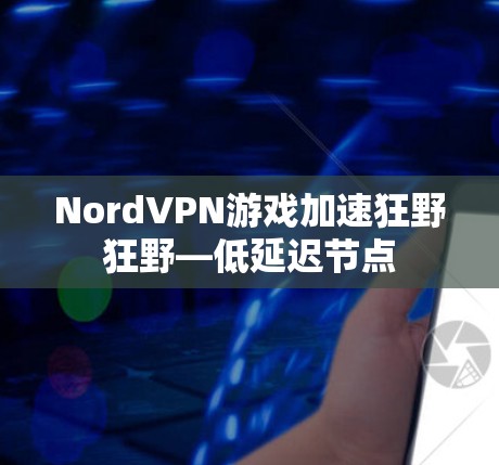 NordVPN游戏加速狂野狂野—低延迟节点 NordVPN游戏加速狂野狂野—低延迟节点