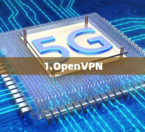 1.OpenVPN