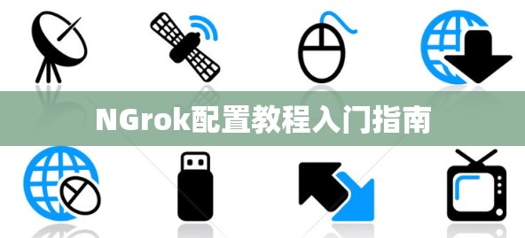 NGrok配置教程入门指南