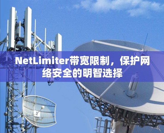NetLimiter带宽限制,保护网络安全的明智选择 NetLimiter带宽限制,保护网络安全的明智选择
