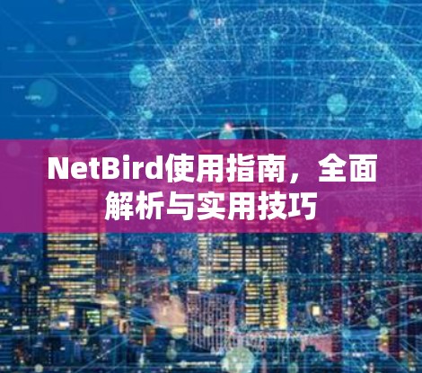 NetBird使用指南,全面解析与实用技巧 NetBird使用指南,全面解析与实用技巧