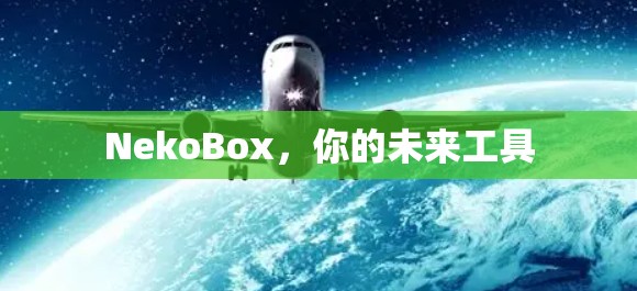 NekoBox,你的未来工具 NekoBox,你的未来工具