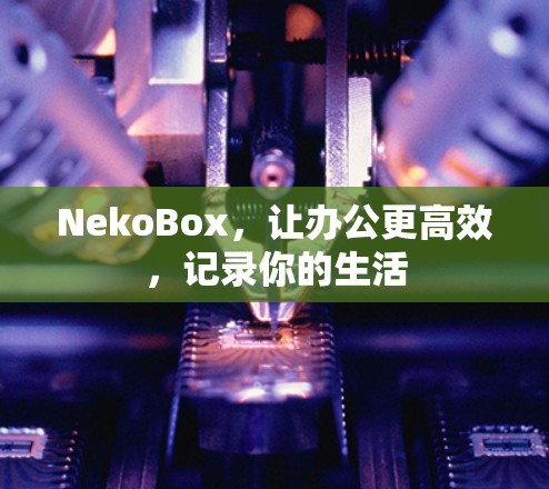 NekoBox,让办公更高效,记录你的生活 NekoBox,让办公更高效,记录你的生活