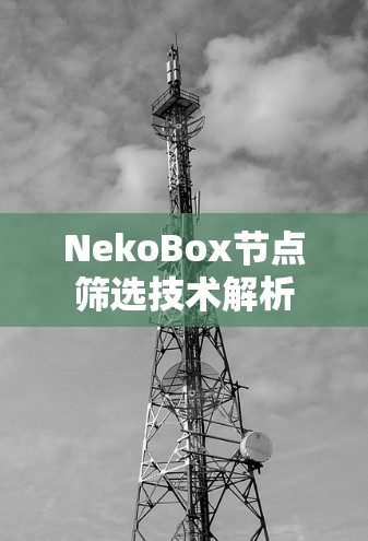 NekoBox节点筛选技术解析