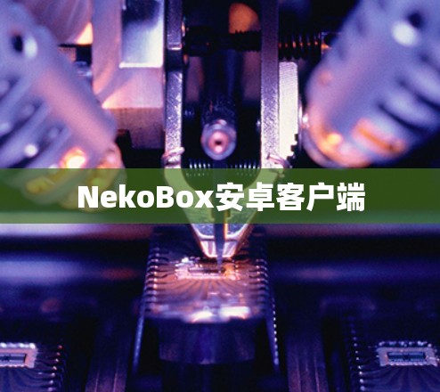 NekoBox安卓客户端 NekoBox安卓客户端