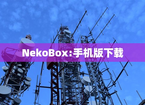 NekoBox:手机版下载 NekoBox:手机版下载