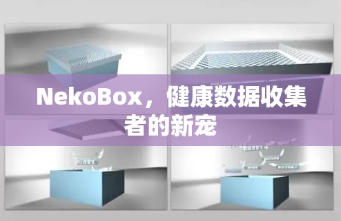 NekoBox,健康数据收集者的新宠 NekoBox,健康数据收集者的新宠