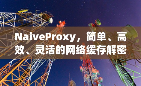 NaiveProxy,简单、高效、灵活的网络缓存解密 NaiveProxy,简单、高效、灵活的网络缓存解密