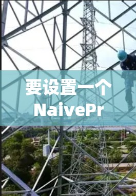 要设置一个NaiveProxy服务器，可以按照以下步骤进行