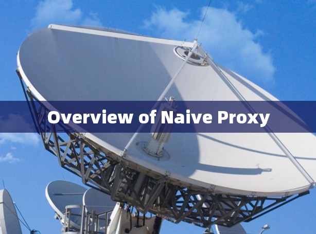 Overview of Naive Proxy