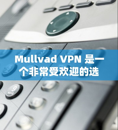 Mullvad VPN 是一个非常受欢迎的选择，适合需要安全连接的用户。以下是对该应用的详细比较和推荐
