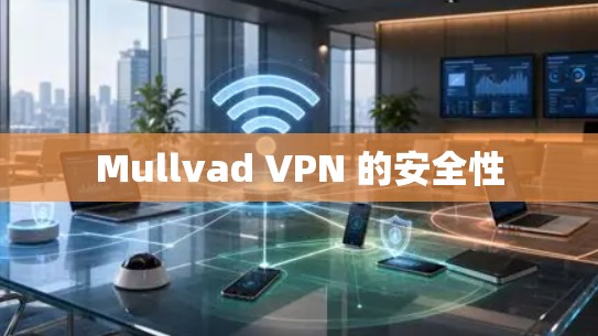Mullvad VPN 的安全性 Mullvad VPN 的安全性