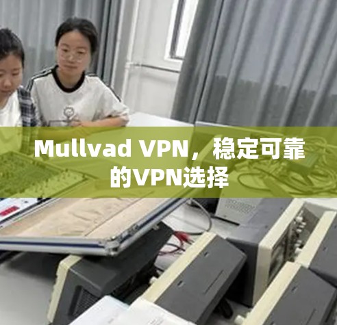 Mullvad VPN,稳定可靠的VPN选择 Mullvad VPN,稳定可靠的VPN选择