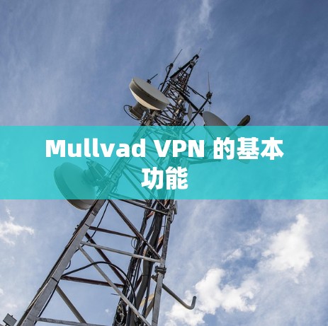Mullvad VPN 的基本功能 Mullvad VPN 的基本功能