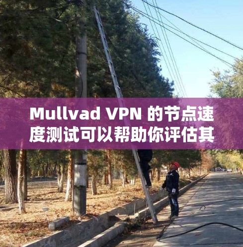 Mullvad VPN 的节点速度测试可以帮助你评估其在网络性能和稳定性方面的能力。以下是一个详细的步骤指南，帮助你进行 Mullvad VPN 节点的快速测试