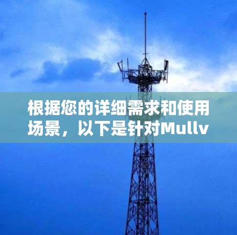 根据您的详细需求和使用场景，以下是针对Mullvad VPN的推荐
