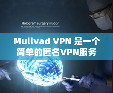 Mullvad VPN 是一个简单的匿名VPN服务，适合个人用户使用。以下是下载和安装Mullvad VPN的具体步骤