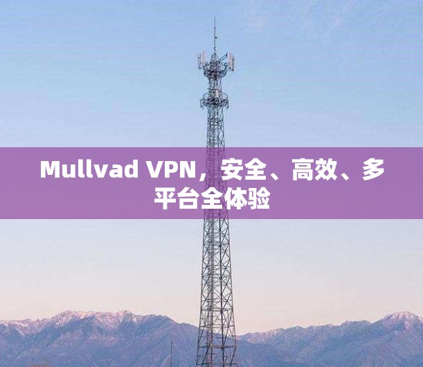 Mullvad VPN，安全、高效、多平台全体验