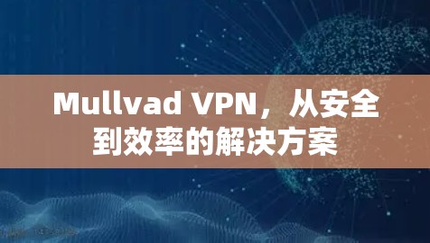 Mullvad VPN,从安全到效率的解决方案 Mullvad VPN,从安全到效率的解决方案