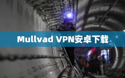 Mullvad VPN安卓下载 Mullvad VPN安卓下载