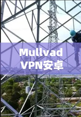 Mullvad VPN安卓版—手机端点安全的高效解决方案