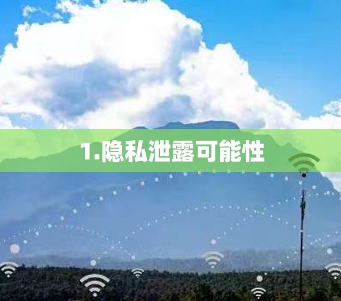 1.隐私泄露可能性