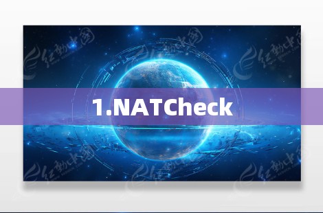 1.NATCheck 1.NATCheck