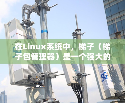 在Linux系统中,梯子(梯子包管理器)是一个强大的软件包管理器,用于管理软件的安装、配置和维护。梯子客户端通常指Linux下的一个软件包管理器,帮助用户轻松管理软件包 在Linux系统中,梯子(梯子包管理器)是一个强大的软件包管理器,用于管理软件的安装、配置和维护。梯子客户端通常指Linux下的一个软件包管理器,帮助用户轻松管理软件包