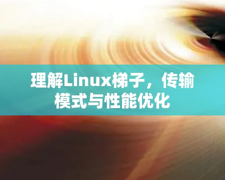 理解Linux梯子，传输模式与性能优化