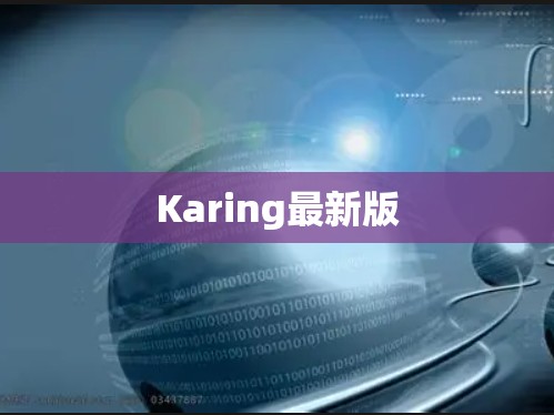 Karing最新版 Karing最新版