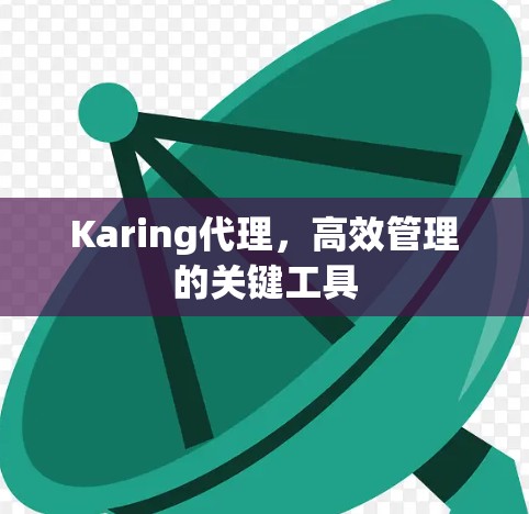 Karing代理，高效管理的关键工具