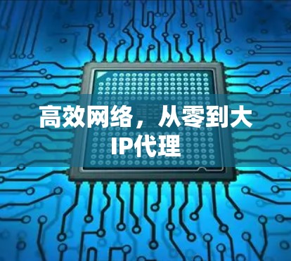 高效网络,从零到大IP代理