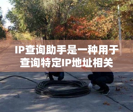 IP查询助手是一种用于查询特定IP地址相关信息的工具。以下是一些常见的查询内容和方法
