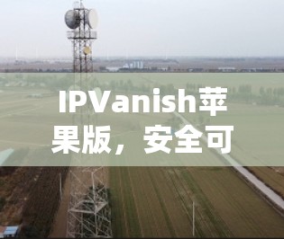 IPVanish苹果版,安全可靠,轻松置顶
