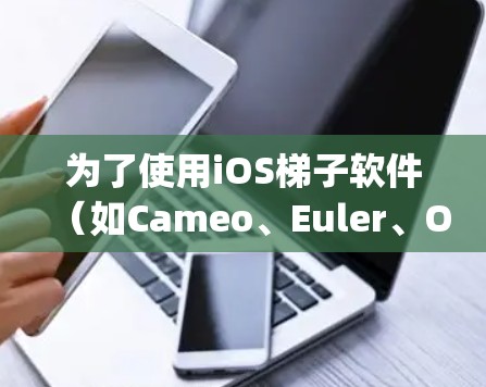 为了使用iOS梯子软件(如Cameo、Euler、Optimize、Eclipse或Xcode)以下是一些步骤性的指南
