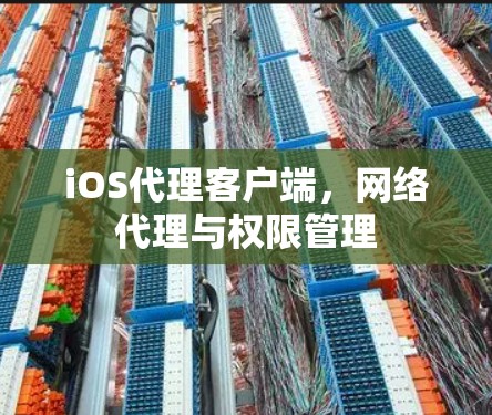 iOS代理客户端,网络代理与权限管理